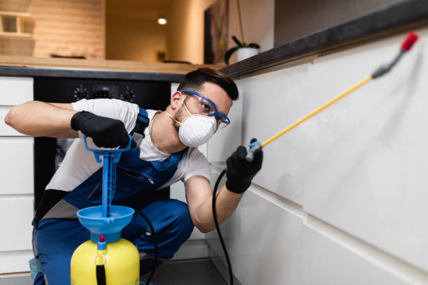 Best Commercial Pest Control Services  in South Huntington, NY