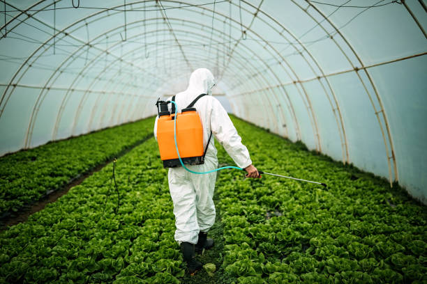 Best Local Pest Control Services  in South Huntington, NY