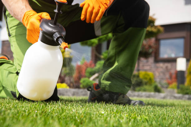 Bird Control in South Huntington, NY