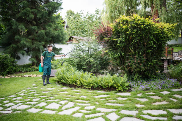 Best Pest Control Near Me in South Huntington, NY