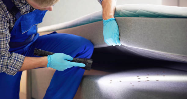 Best Mosquito Control Services  in South Huntington, NY