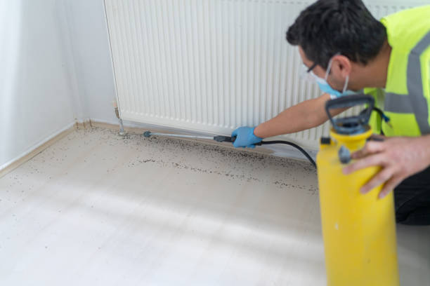 Best Affordable Pest Control Services  in South Huntington, NY